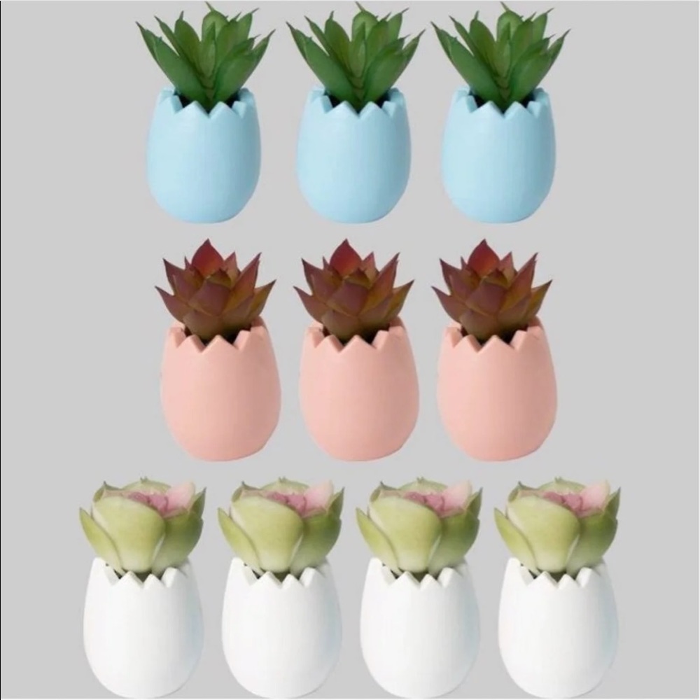 Set of 10 Easter Egg Mini Succulents